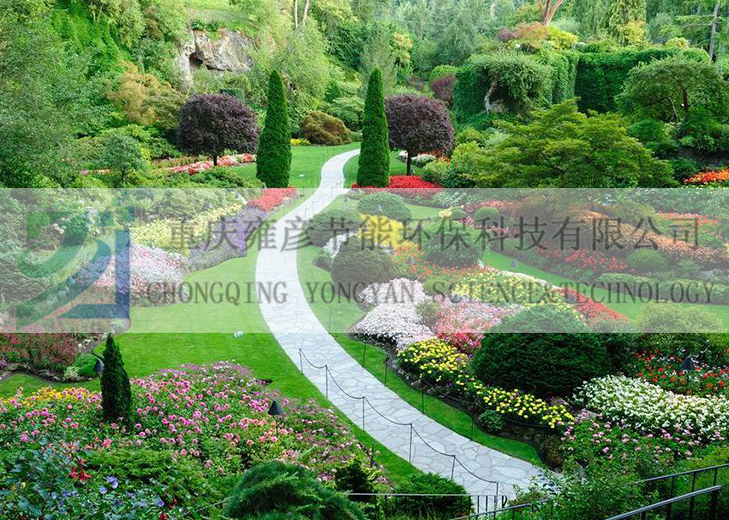 1613987629114455.png 55.png